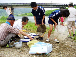 上林川で採集した水生生物を調べる生徒や会員ら
