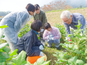 和菓子職人を目指して東京製菓学校（東京都新宿区）の和菓子科で学ぶ16人の学生が25日、小畑町の小豆畑で丹波大納言小豆の収穫を体験し、小豆農家と交流を深めた。